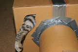 IMG 4894 Cardboard cat house